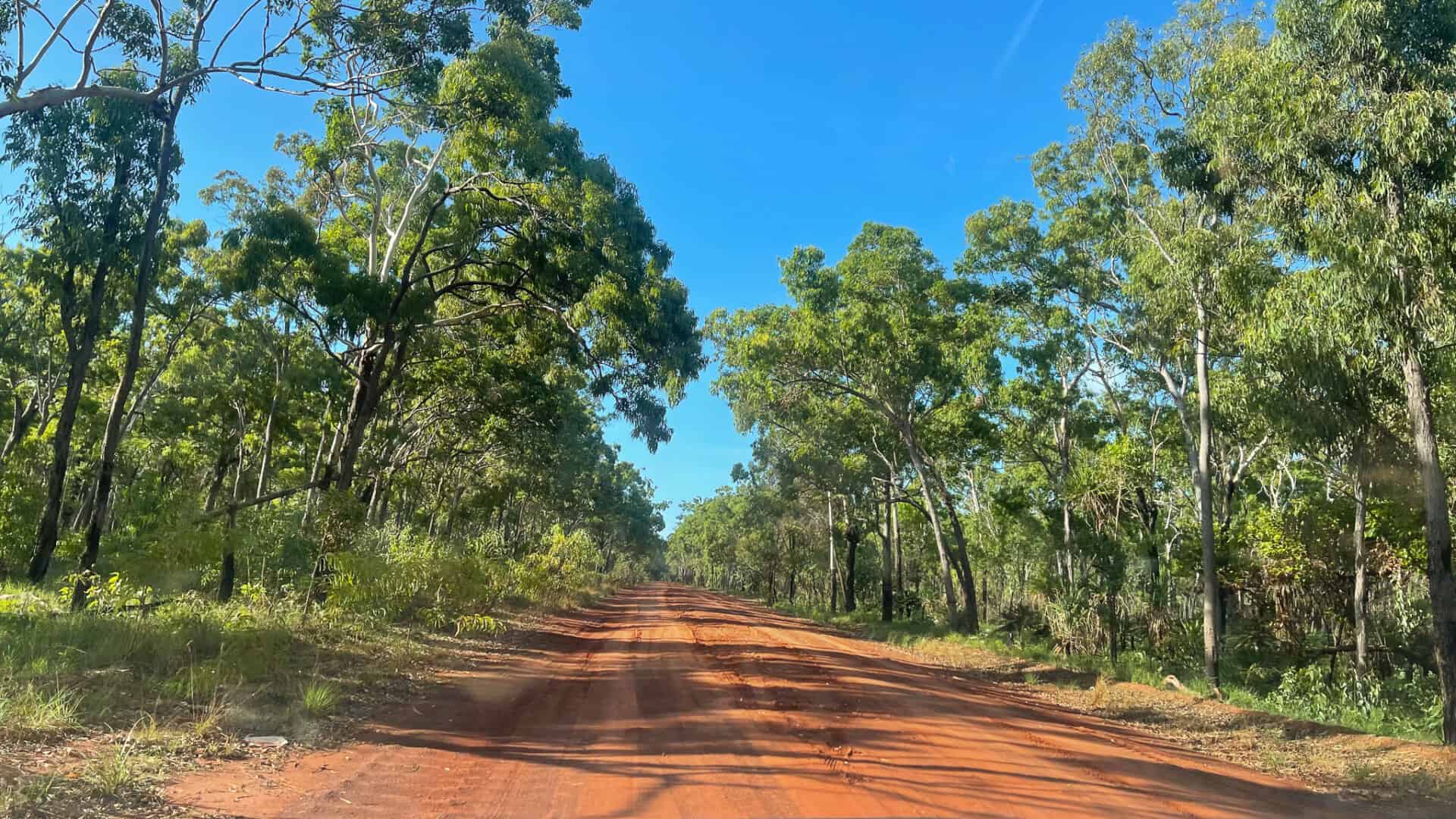 A long straight red dirt road, with green trees on either side.